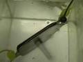 Hydrogen Tap 1 (new plate configeration) #13