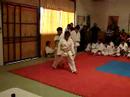 seminario shotokan 7�parte