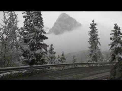 For the Love of the Sport