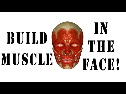 how to build jaw muscles