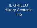 paola mei, marco ghiringhello and mauro gino ��(hikory acoustic trio)