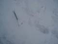 Amiel Try's Snowboarding