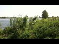 Aan de Maas bij Vierlingsbeek