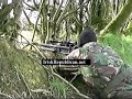 IRA Sniper - IrishRepublican.net IRA Sniper - IrishRepublican.net