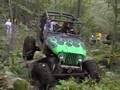 woods buggies
