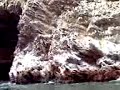 viaje a paracas II