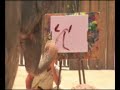 Elephant Paints a Picture at the Fort Worth Zoo Elephant Paints a Picture at the Fort Worth Zoo