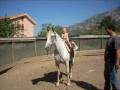 videos de Bambino cowboy.wmv
