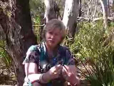 Thinking Australian literature at ...