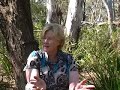 Thinking Australian literature at Judith Wright\