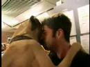 Buzzin MTV Series Trailer