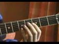 Daron Malakian Guitar Lesions