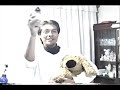 PRESEA  PERRO