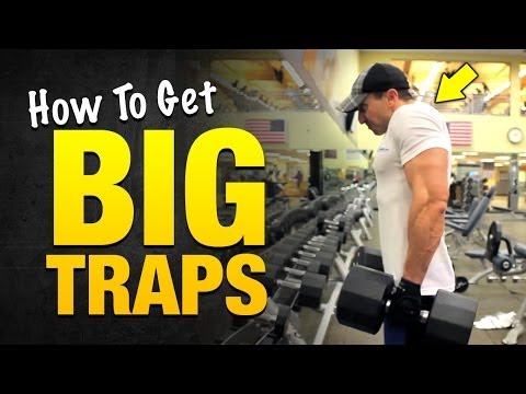 how to build huge traps