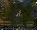 Druid 49 feral pvp Hollywod 1 Druid 49 feral pvp Hollywod 1