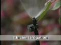 Introduction to Xeriscapes of the Southwest