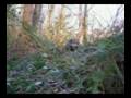 videos de Airsoft-Action-Scene