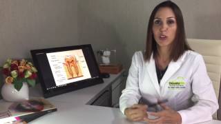Susana C. Gomes Azevedo-7