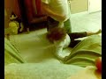 My personal videos80