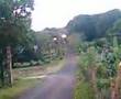 videos de mob