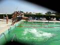 videos de Tuffo sincronizzato