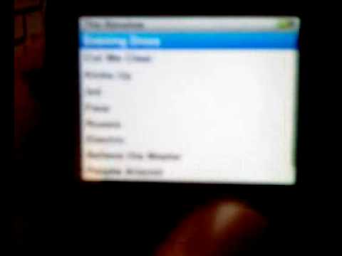 iPod bug