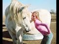 Stop horse Abuse Stop horse Abuse