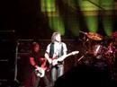 warren demartini