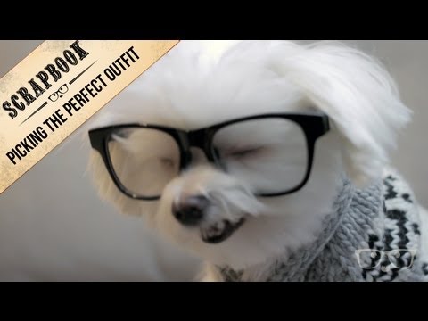 Milo de volta à escola