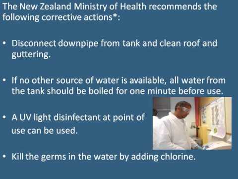 how to treat e coli in water