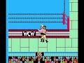2 exhibition matches with ric flair
