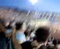 Partizan fans