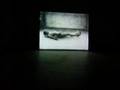 video art by douglas gordon