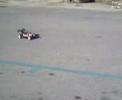 my kyosho inferno mp 7.5 my kyosho inferno mp 7.5