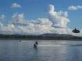 Manta Ray on Ord River