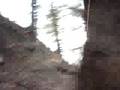 videos de ADAM SINGS AFTER EVERYONE TAKES DOWN A TREE
