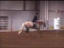 RFF Prince Charming Working Hunter
