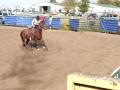videos de Henneberry calf roping horse