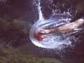 ultraslow motion ultraslow motion