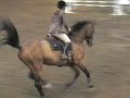 Johanne Nynne - Stald Jo