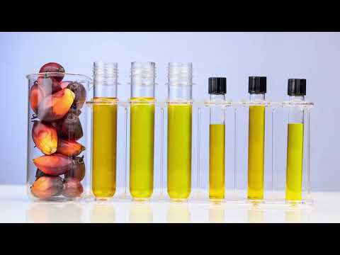 KОНТРОЛА ПРОИЗВОДА СА ПАЛМИНИМ УЉЕМ KОНТРОЛА ПРОИЗВОДА СА ПАЛМИНИМ УЉЕМ