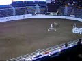 Calgary Stampede Sheep Dog Competition