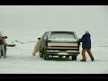 jugando a las escondidas con un oso polar salvage