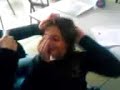 Bl�zinec Z? Brodek u Prost?jova