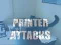 Printer Attacks Cat