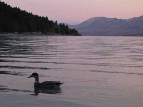 Lake Tekapo NZ