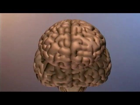 artificial - Though computers have gotten faster, smaller and more versatile, it's still a big challenge to get them to demonstrate intelligent behaviors. Will machines l...
