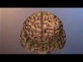 Artificial Intelligence: Thinking Big - KQED QUEST