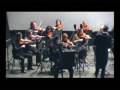 Luigi Morleo, Concerto per i popoli I° Movimento.avi