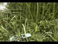 Escort Claymore video 3 Escort Claymore video 3